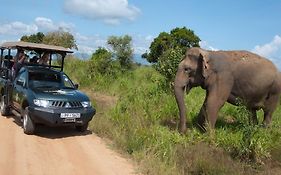 Mahoora Udawalawe - By Eco Team